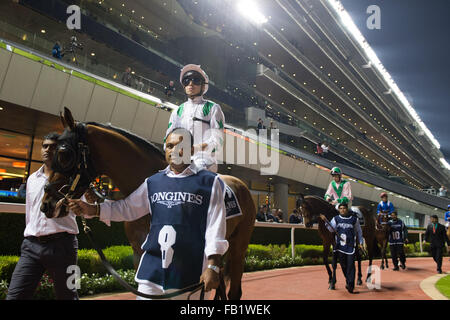 Dubai, Vereinigte Arabische Emirate. 7. Januar 2016. Mickael Barzalona Ahlan Emarati Reiten, bevor das Thourghbreds Handicap 100-113 in Meydan Credit bewertet: Tom Morgan/Alamy Live News Stockfoto