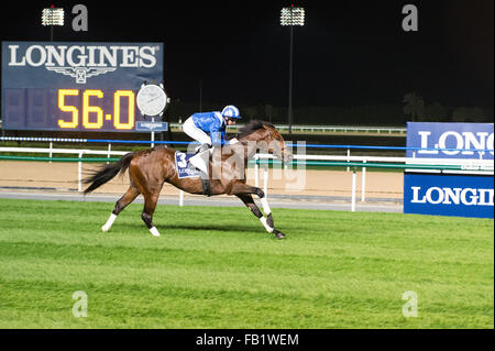 Dubai, Vereinigte Arabische Emirate. 7. Januar 2016. Paul Hanagan reitet Ertijaal um 3 Rennen zu gewinnen, das Thourghbreds Handicap 100-113 bei Meydan Credit bewertet: Tom Morgan/Alamy Live News Stockfoto