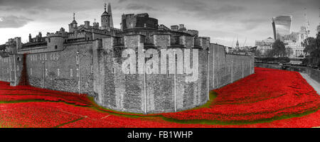 Dieser erstaunliche Kunstinstallation über 800000 Keramik Mohnblumen in den Tower of London, anlässlich des 100. Jahrestages des 1. Weltkrieges Stockfoto