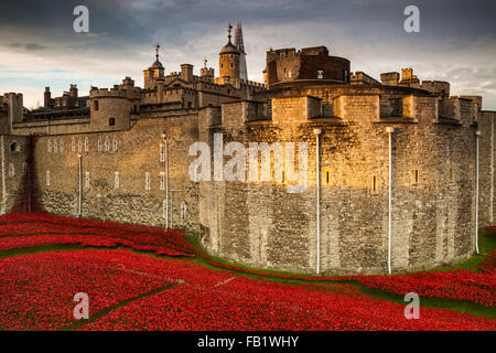 Dieser erstaunliche Kunstinstallation über 800000 Keramik Mohnblumen in den Tower of London, anlässlich des 100. Jahrestages des 1. Weltkrieges Stockfoto