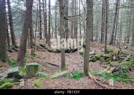 Reste einer alten Keller-Bohrung im Wald auf einer verlassenen Straße in Benton, New Hampshire. Stockfoto