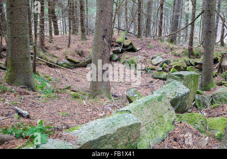 Reste einer alten Keller-Bohrung im Wald auf einer verlassenen Straße in Benton, New Hampshire. Stockfoto
