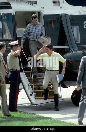 Washington, DC, USA, Juli 1981 Präsident Ronald Reagan begrüßt, da er geht nach seiner Rückkehr nach Washington von Camp David aus Marine One wo er und Vizepräsident George H.W. Bush, wo reiten Pferde. Marine One landete bei der alternativen Landezone am Rainbow-Brunnen auf dem Monunent Gelände Credit: Mark Reinstein Stockfoto