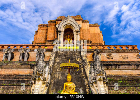 Chiang Mai, Thailand am Wat Chedi Luang. Stockfoto