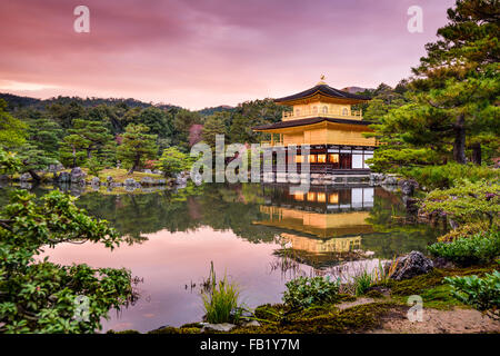 Kyoto, Japan im Goldenen Pavillon in der Abenddämmerung. Stockfoto