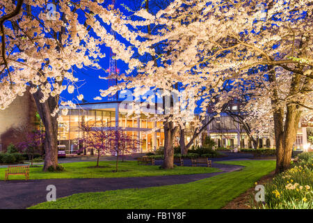 Frühling-College-Campus in der Nacht. Stockfoto