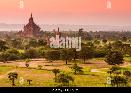 Bagan, Myanmar Tempel im archäologischen Park. Stockfoto