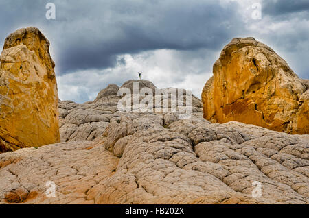 Kleine Person auf Sandstein-Formationen im White Pocket-Bereich des Vermilion Cliffs National Monument... Stockfoto