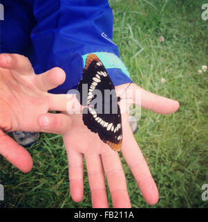 Schmetterling in Kinderhand Stockfoto