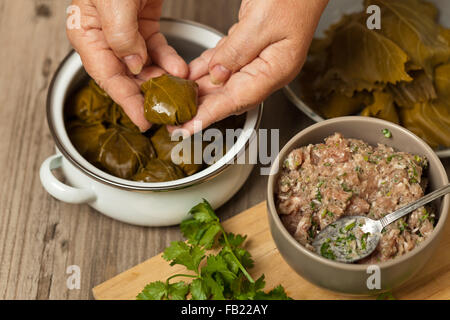 Rohe gefüllte Weinblätter Stockfoto