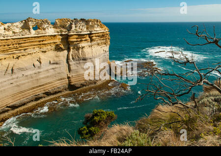 Razorback am Loch Ard Gorge, Great Ocean Road, Victoria, Australien Stockfoto