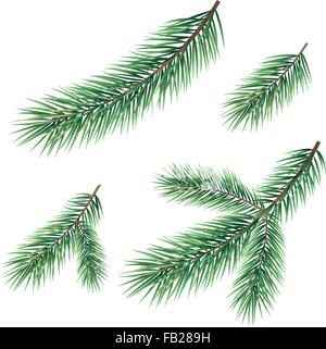 Weihnachtsbaum-grüne Zweige-set Stock Vektor