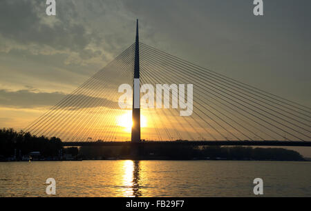 Belgrad, Serbien - Kabelbrücke über den Fluss Sava am späten Nachmittag Stockfoto