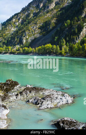 Senkrechten Blick auf die Felsen am unteren türkisfarbene Fluss fließt zwischen den Felsen der Berge, Fluss Katun, Altai-Gebirge Stockfoto