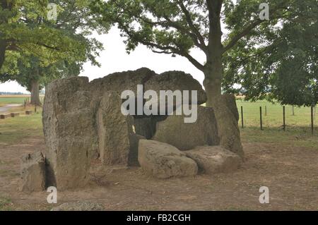 Nördlichen Dolmen oder "Grand Dolmen" 5,5 m Länge - 1,7 Withd. -1,5 m hohen 3000-2800 v. Chr. megalithischen Website Wéris - Durbuy Belgien Stockfoto