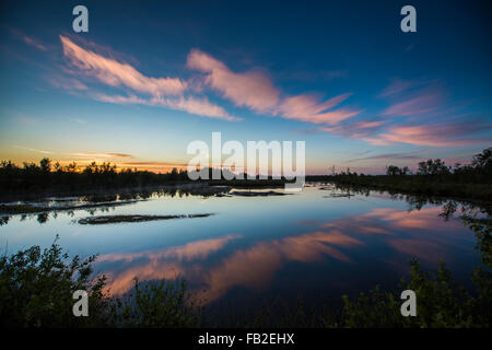 Niederlande, Zwartemeer, Natur Naturschutzgebiet Bargerveen. Hochmoor oder Torf-Moor. Sunrise Stockfoto