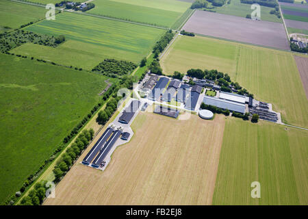 Niederlande, Lelystad, Bauernhöfe, Ackerland, Aeria. Flovopolder. Stockfoto