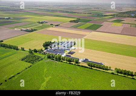 Niederlande, Lelystad, Bauernhöfe, Ackerland, Aeria. Flovopolder. Stockfoto