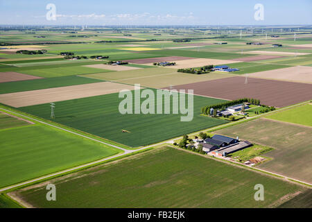 Niederlande, Lelystad, Bauernhöfe, Ackerland, Aeria. Flovopolder. Stockfoto