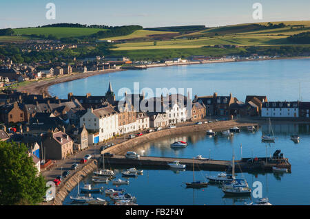 Hafen von Stonehaven im frühen Morgenlicht - Aberdeenshire, Schottland. Stockfoto