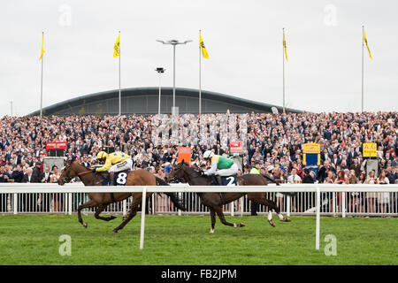 Zwei Pferde fliegen vorbei die Menge in Richtung Ziel direkt während des Wochenendes des 2014 Grand National in Aintree bei Liverpool. Stockfoto