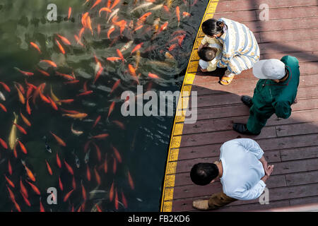 Shanghai, China - 23.Oktober 2006.People mit Kind beobachten, Koi-Teich in Shanghai Stockfoto