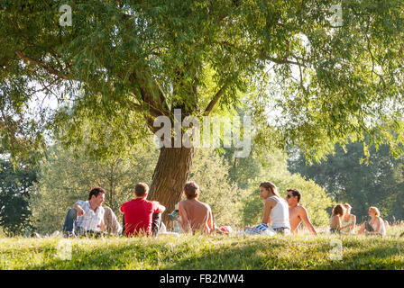 Gruppe von Freunden entspannen unter einem Baum auf Hampstead Heath, London, England, UK Stockfoto