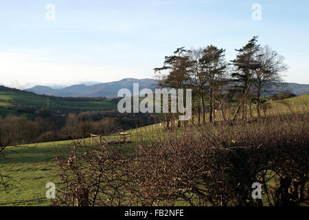 Nordwales Ackerland Colwyn Bay Stockfoto