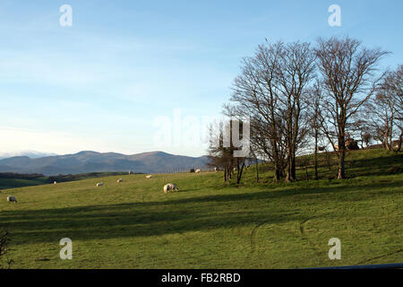 Nordwales Ackerland Colwyn Bay Stockfoto