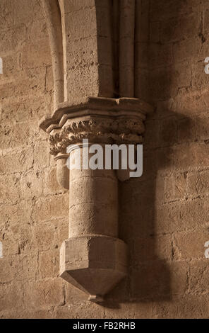 Silvacane, Zisterzienserkloster Abbaye de Silvacane Stockfoto