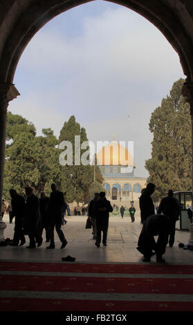 Jerusalem, Jerusalem, Palästina. 8. Januar 2016. Palästinensische muslimische Gläubige gehen vor der Kuppel der Rock Moschee nach Freitagsgebet in al-Aqsa-Moschee, drittheiligste Stätte im Islam, in der Jerusalemer Altstadt auf 8. Januar 2016 Credit: Mahfouz Abu Türke/APA Bilder/ZUMA Draht/Alamy Live News Stockfoto