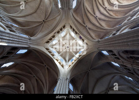 Laon, Cathedrale Stockfoto