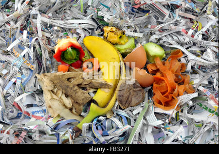 Kompostierende Materialien bestehend aus Obst und Gemüse Küche Lebensmittel verschwenden mit zerrissenen Zeitung. Stockfoto