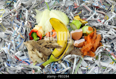 Kompostierende Materialien bestehend aus Obst und Gemüse Küche Lebensmittel verschwenden mit zerrissenen Zeitung. Stockfoto