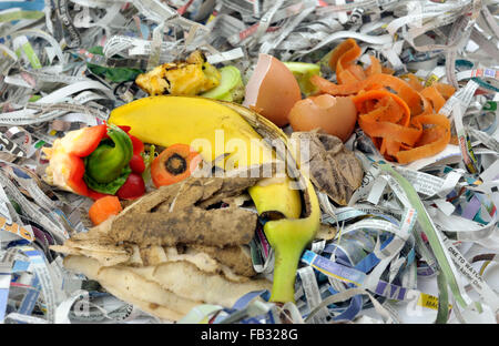 Kompostierende Materialien bestehend aus Obst und Gemüse Küche Lebensmittel verschwenden mit zerrissenen Zeitung. Stockfoto