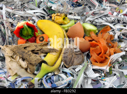 Kompostierende Materialien bestehend aus Obst und Gemüse Küche Lebensmittel verschwenden mit zerrissenen Zeitung. Stockfoto