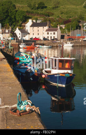 Hafen von Stonehaven im frühen Morgenlicht - Aberdeenshire, Schottland. Stockfoto