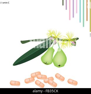 Medizinisches Konzept, Illustration grüne Rose Apfel mit Vitamin C-Tablette, essentieller Nährstoff für das Leben. Stock Vektor