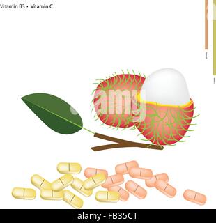 Medizinisches Konzept, Illustration von frische Rambutan mit Vitamin B3 und Vitamin C-Tablette, essentieller Nährstoff für das Leben. Stock Vektor