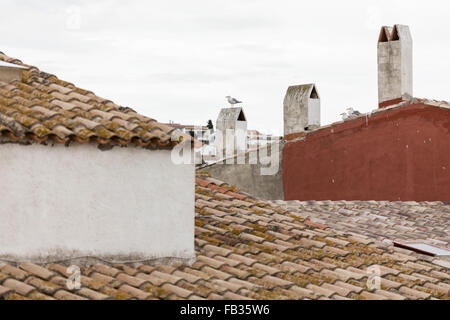 Kamine und Möwen auf Dächern in Cadaqués Stockfoto