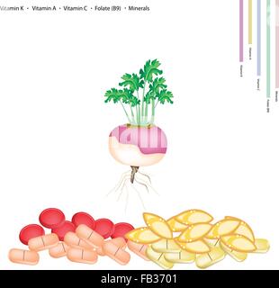 Medizinisches Konzept, Illustration von frischen Rüben mit Vitamin K, Vitamin A, Vitamin C, Folsäure oder B9 und Mineralien Tablette, Essent Stock Vektor