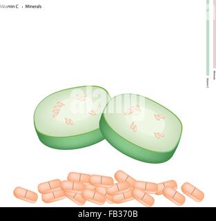 Medizinisches Konzept, Illustration von geschnittenen Wintermelone, Wachs, Kürbis oder Chalkumra mit Vitamin C und Mineralien Tablette, wesentliche Nu Stock Vektor