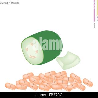 Medizinisches Konzept, Illustration von frischen Wintermelone, Wachs, Kürbis oder Chalkumra mit Vitamin C und Mineralien Tablette, wesentliche Nuss Stock Vektor