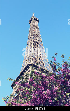 Blick auf den Eiffelturm in Paris, Frankreich Stockfoto