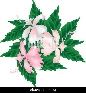 Schöne Blume, Illustration von rosa Hibiskus Blumen oder rosa Eibisch Blüten mit grünen Blättern, die isoliert auf weißem staatlich Stock Vektor