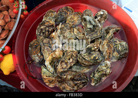 Austern, stall Frischfisch in Borgo Marina, historischen Zentrum von Neapel Stadt, UNESCO-Weltkulturerbe Campania Region Italien Stockfoto