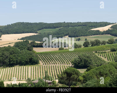 Eine Landschaft-Szene in der Nähe von Alaigne, Aude, Languedoc, Frankreich, mit Weinbergen und Wäldern an den Berghängen Stockfoto