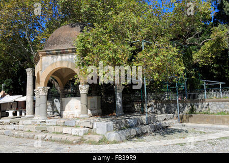 Der Hippokrates-Platane, gepflanzt von Hippokrates, Plane Tree Square, Kos-Stadt, Insel Kos, Dodekanes-Gruppe von Inseln, Stockfoto