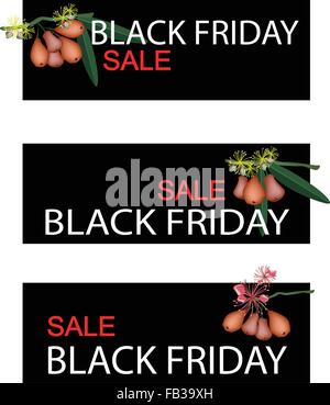 Illustration von Wasser Apfel oder Rosenapfel am schwarzen Freitag einkaufen Banner Start Weihnachtsgeschäft. Stock Vektor