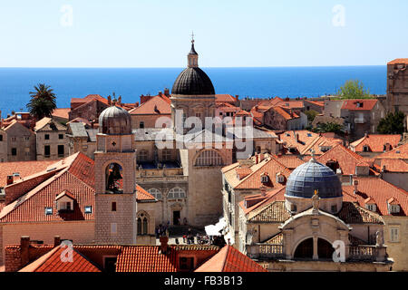 Sommer, Terrakotta-Dächer von Dubrovnik, Dubrovnik-Neretva County, Dalmatien Küste, Adria, Kroatien, Balkan, Europa. Stockfoto